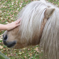 100_0509.jpg